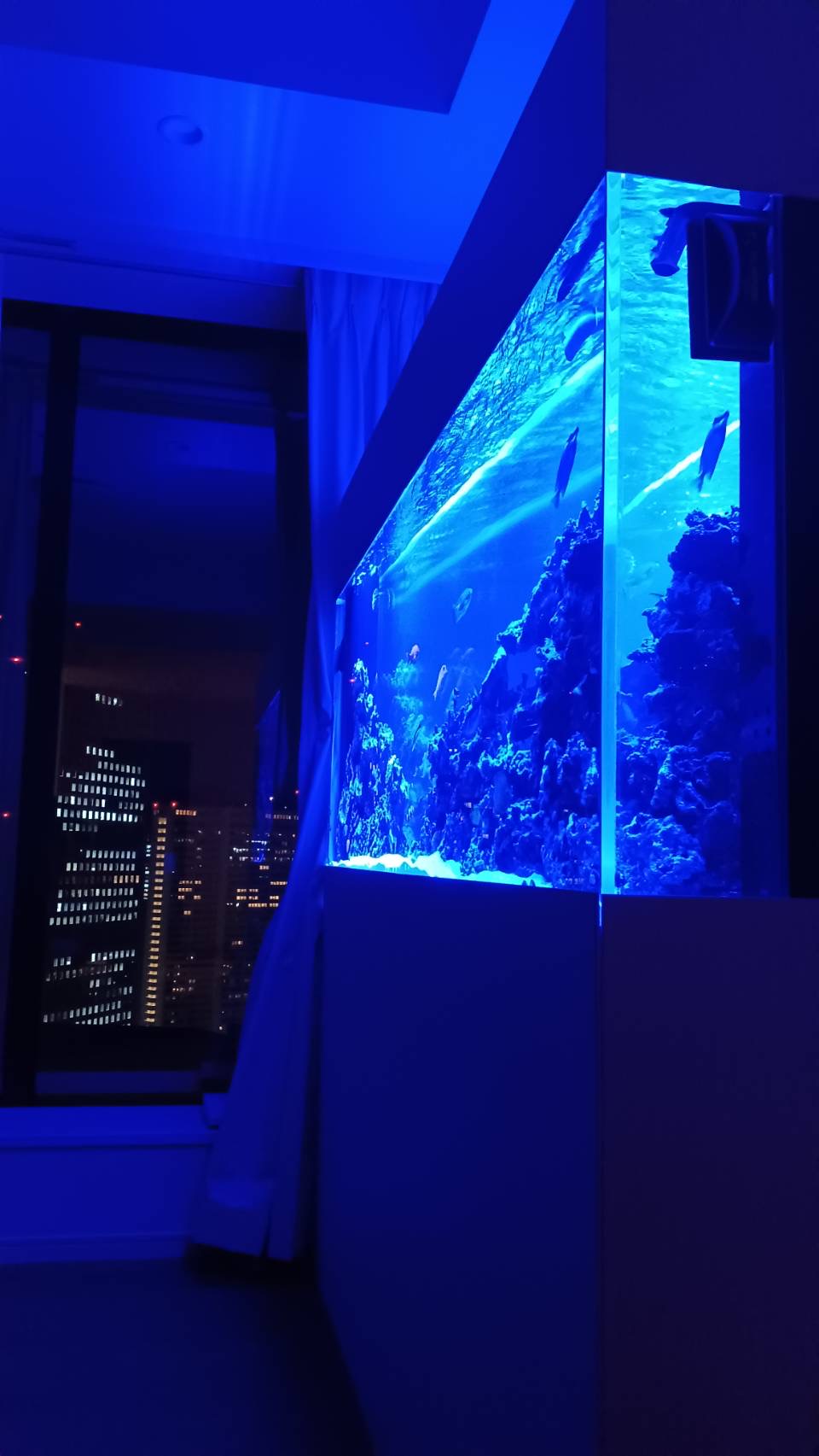 水槽サイズアップを目指そう！