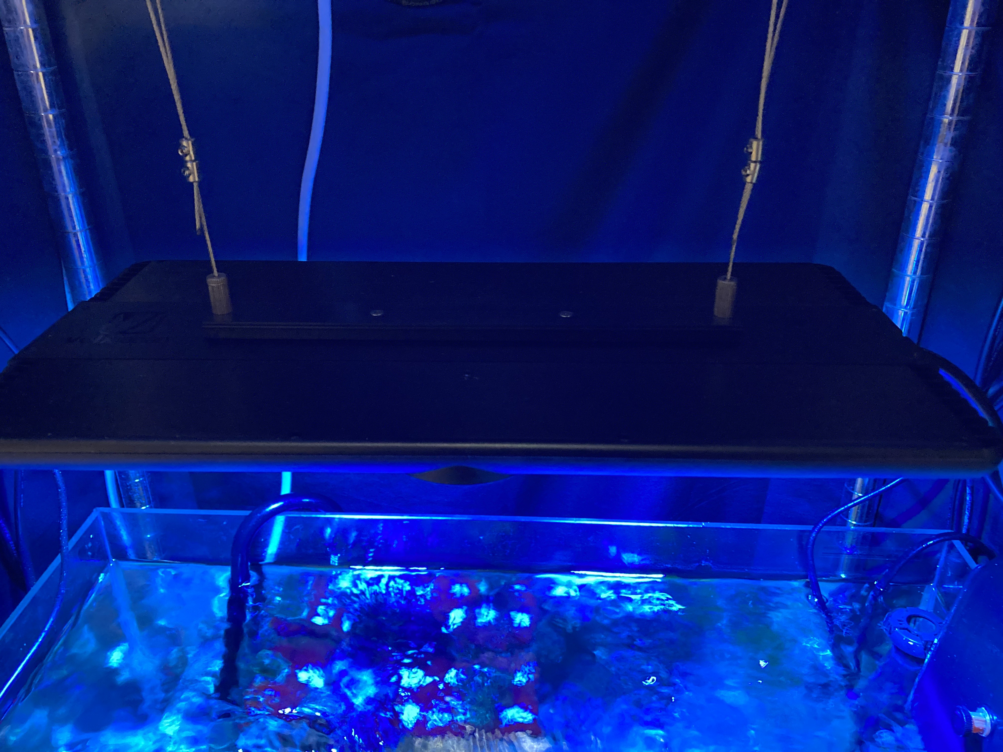 水のある暮らしをもっと素敵にする！