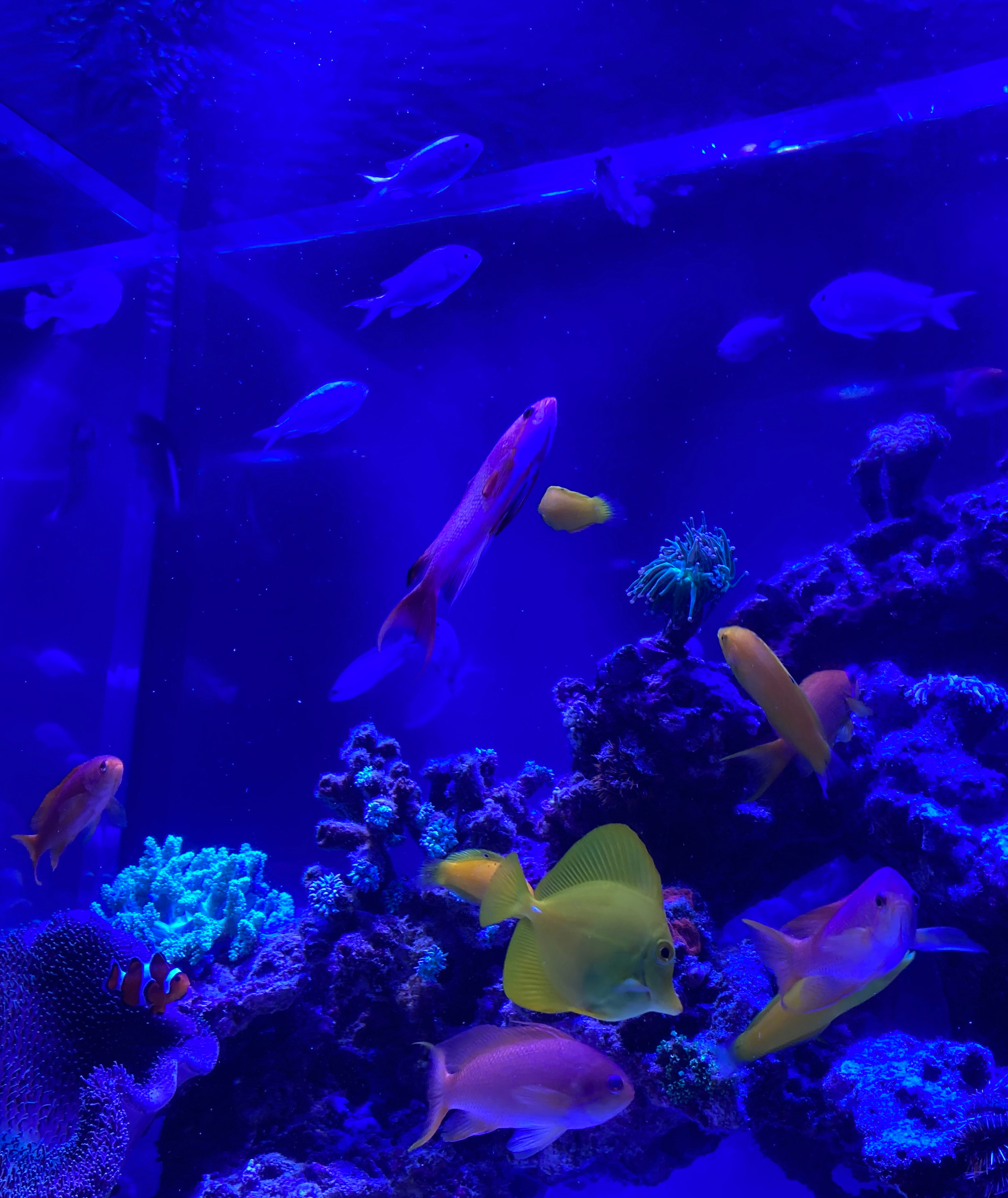 メンテナンス契約の重要性