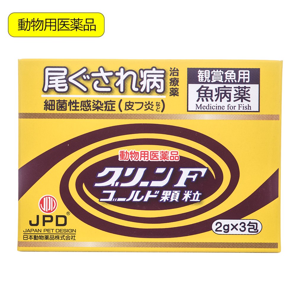 オフィスに合わせた最適な水槽プラン