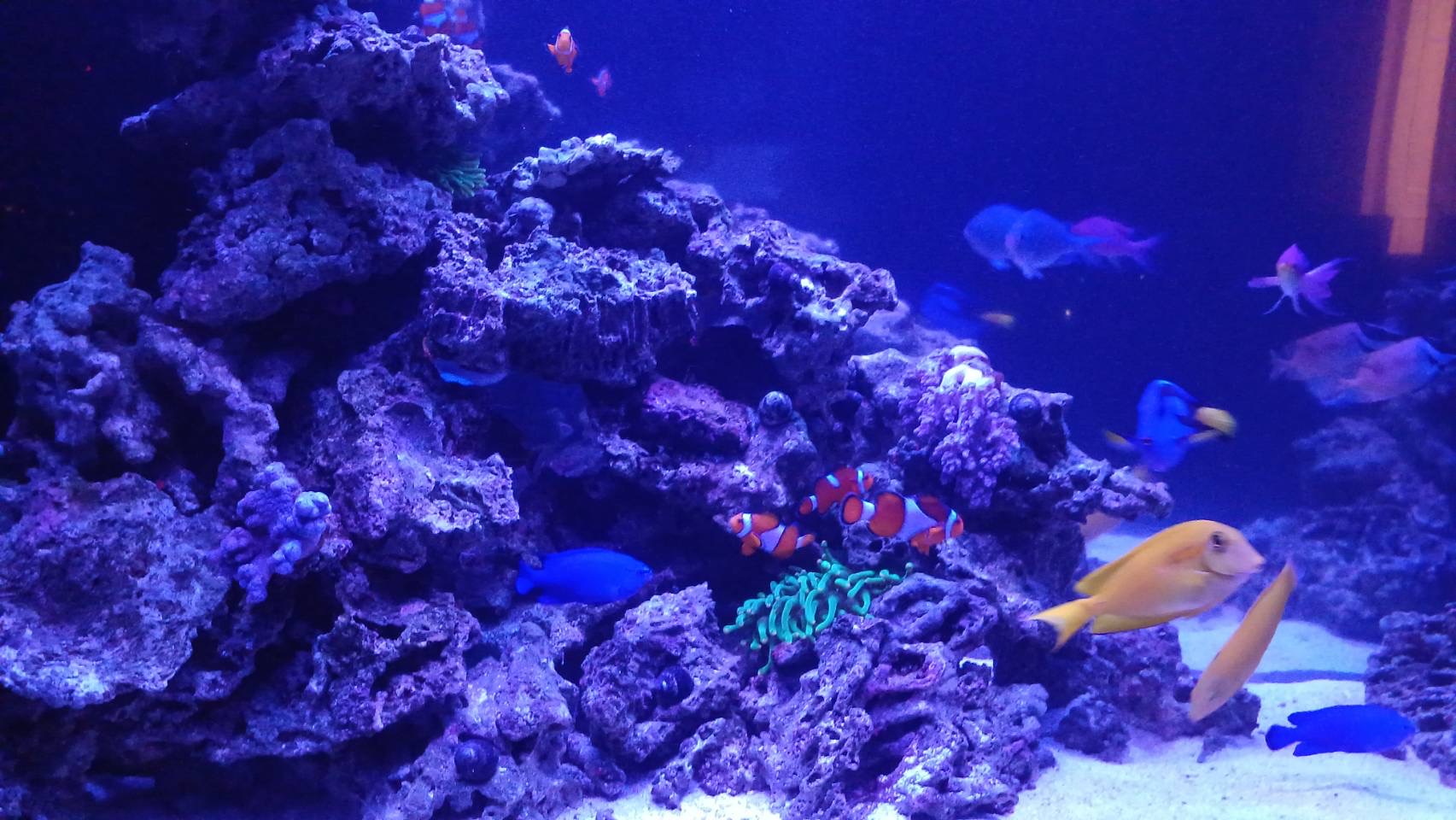 魚の健康を守る管理