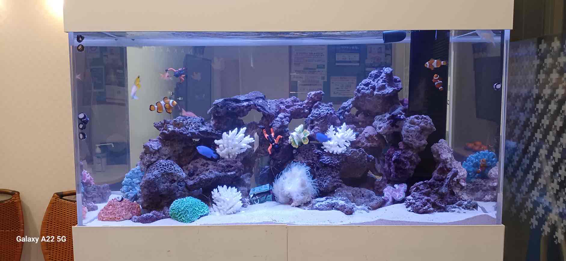 メンテ業者はショップか、メンテ屋か？